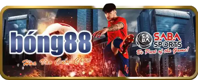 Hoàn trả thể thao và casino tp88 typhu